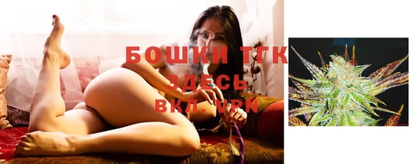 дживик Володарск