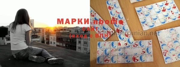 дживик Володарск