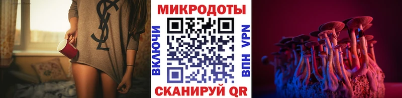 Купить закладки  Нытва  Галлюциногенные грибы Psilocybine cubensis 